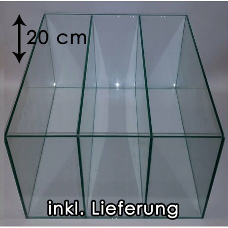 TRANSPARENT Aquarium für Kallax Regale mit 2x Trennscheibe (20 cm)