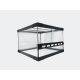 New Style Glas Terrarium
