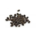 Alder cones 50 pieces