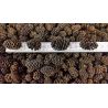 Alder cones - 1 kg